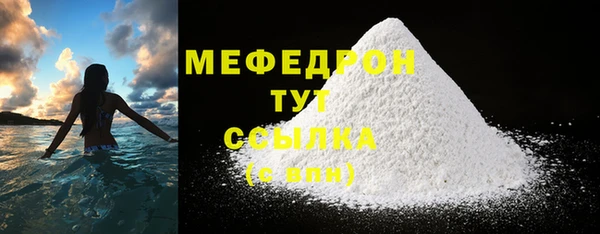 мдпв Богородицк