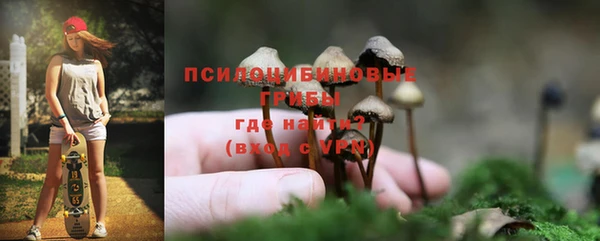 мдпв Богородицк