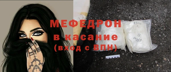 мдпв Богородицк