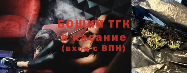мдпв Богородицк