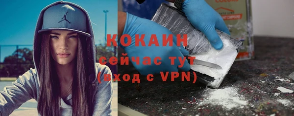 мдпв Богородицк